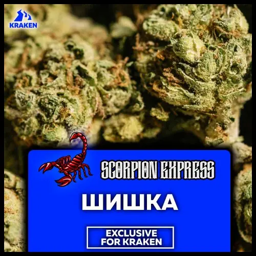 💙Шишка(Critical Kush)💙25%ТГК