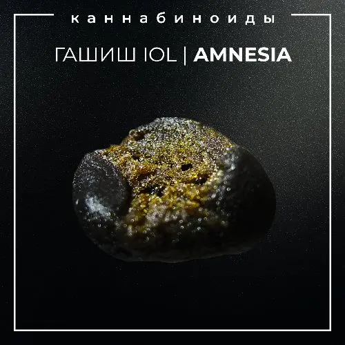 ▪️ICE-O-LATOR I AMNESIA▪️