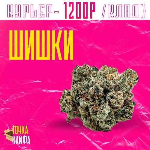 БОШКИ "Jack Herer"