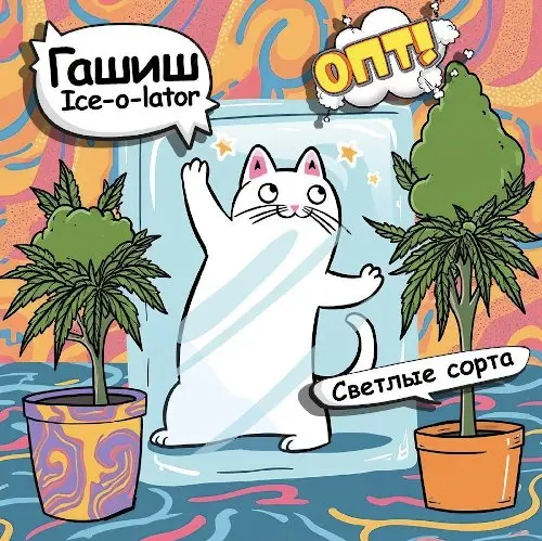Гашиш ice-o-lator Светлые сорта (ОПТ)