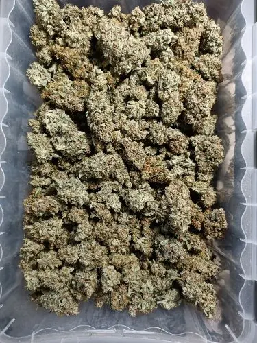 Weeds | HULK OG