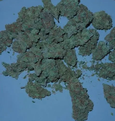 Бошки "Gorilla Kush"