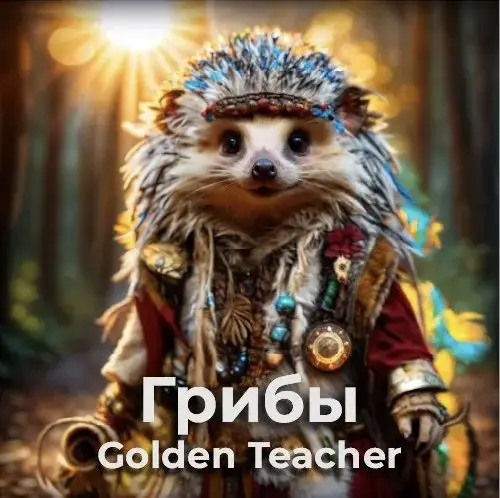 Грибы Псилоцибиновые