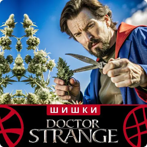 Шишка Kali Mist