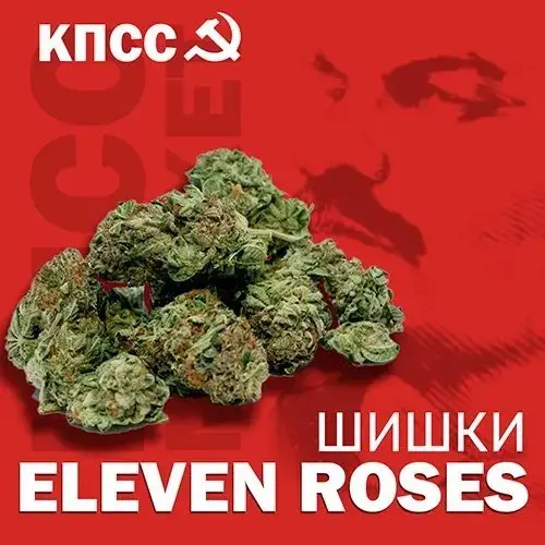 ШИШКИ | ELEVEN ROSES