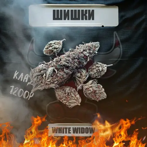 🍀 Шишки White Widow 🍀