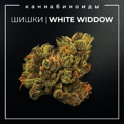 ▪️ШИШКИ I WHITE WIDOW▪️ 