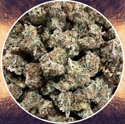 «GORILLA #4»