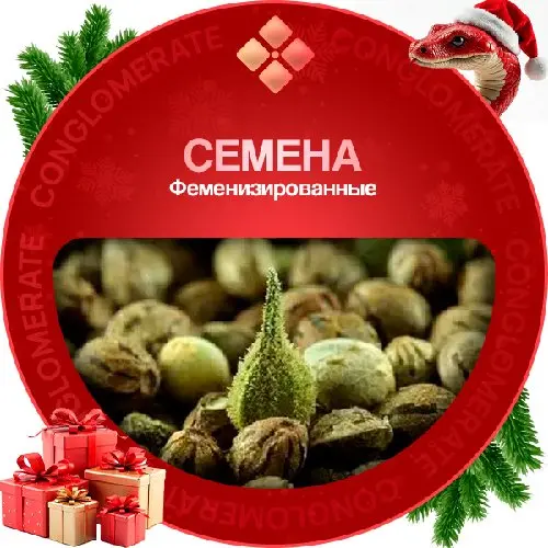 Семена Феменизированные