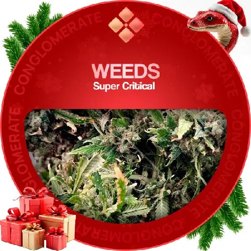 Weeds | Super Critical