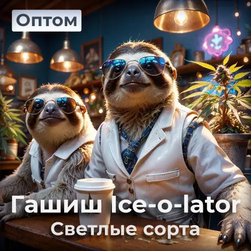 Гашиш Ice-o-lator Светлые сорта ОПТ 