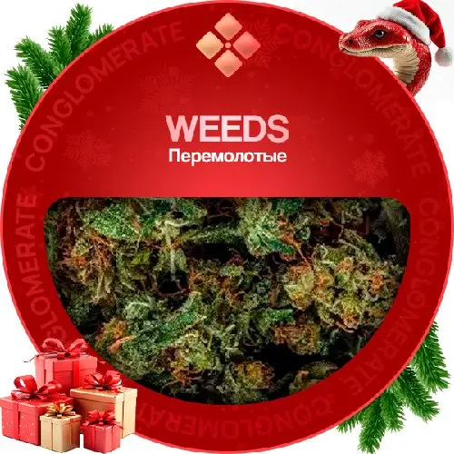 Weeds | SHAKE