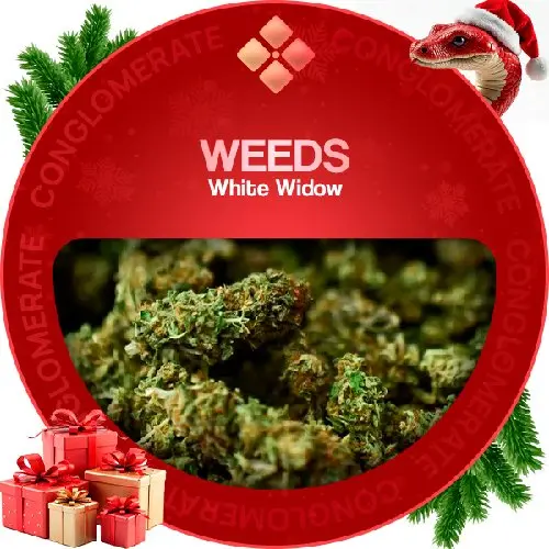 Weeds | White Widow